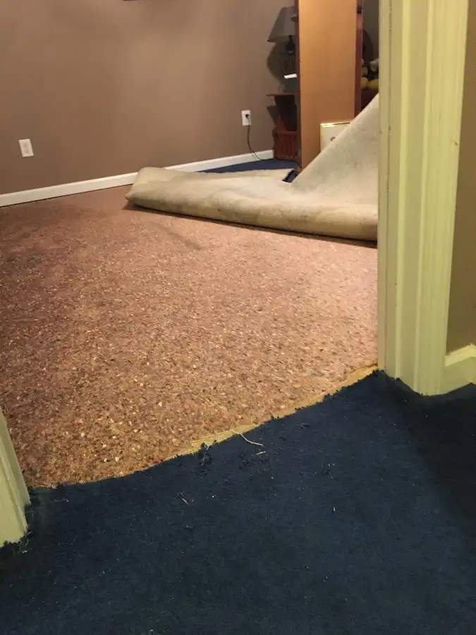 Carpet pad removal revealing water damage during Drying & Dehumidification in Gulf Breeze