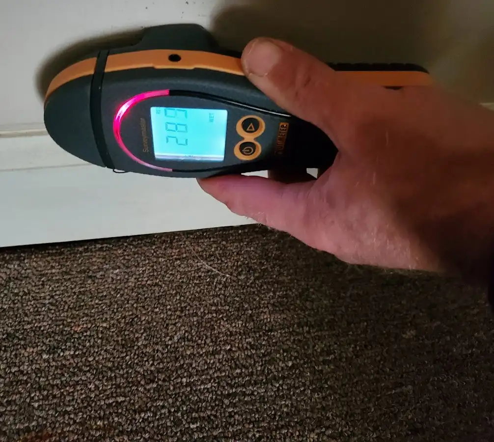 Moisture detection at baseboard during Storm Damage Restoration in Gulf Breeze